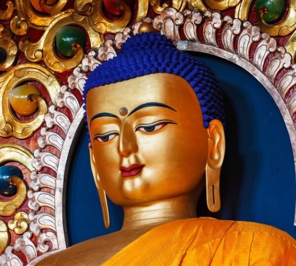 mcleodganj package