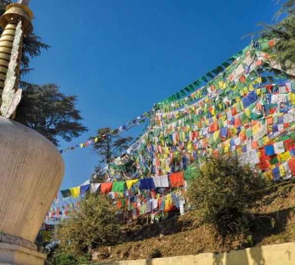 mcleodganj triund trek