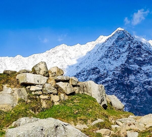 mcleodganj triund trek package